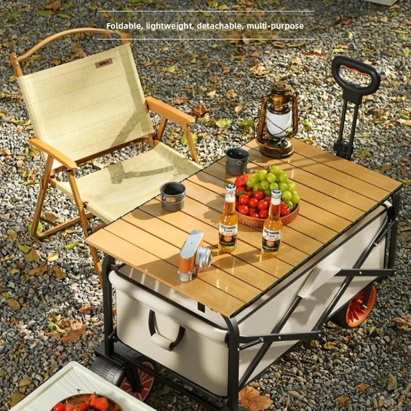 Camper Electric Power Outdoor  - огляд і ціна Outdoor Power Recliner