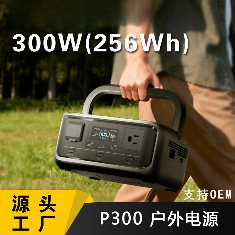 300W 256Wh LiFePO4 Portable Ou - огляд і ціна Outdoor Powerbank